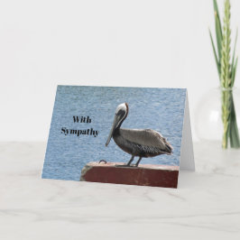 Cartão Wildlife Brown Pelican Water Photo Sympathy