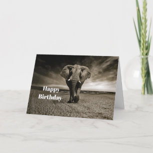 Cartão Wildlife Bull Elephant Photo Birthday