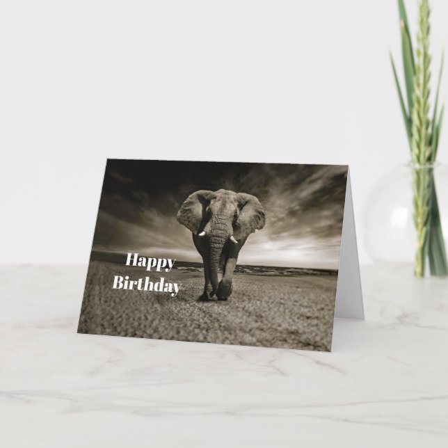 Cartão Wildlife Bull Elephant Photo Birthday (Frente)