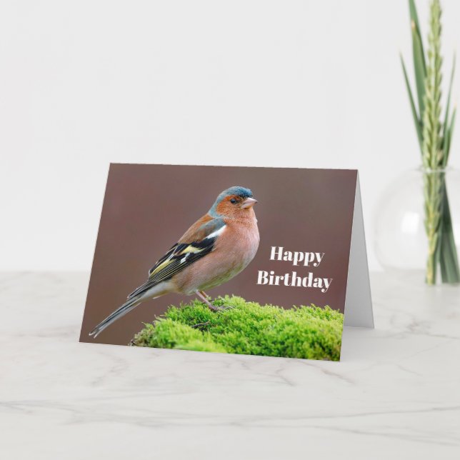 Cartão Wildlife Chaffinch Foto Birthday (Frente)