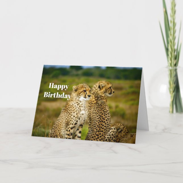 Cartão Wildlife Cheetah Photo Birthday (Frente)