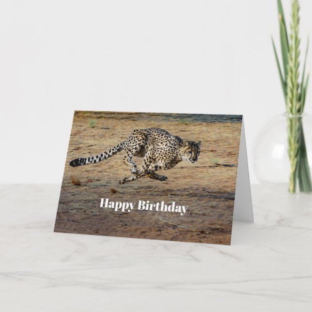 Cartão Wildlife Cheetah Running Photo Birthday (Frente)