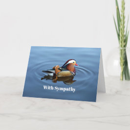 Cartão Wildlife Colorful Duck Blue Water Photo Sympathey