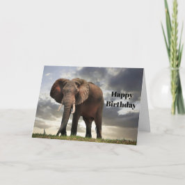 Cartão Wildlife Elephant Photo Birthday