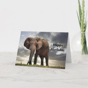 Cartão Wildlife Elephant Photo Birthday