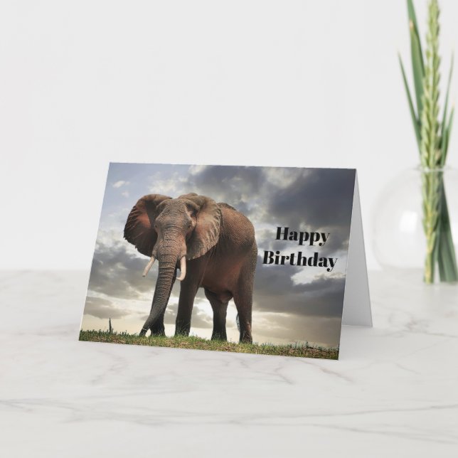 Cartão Wildlife Elephant Photo Birthday (Frente)