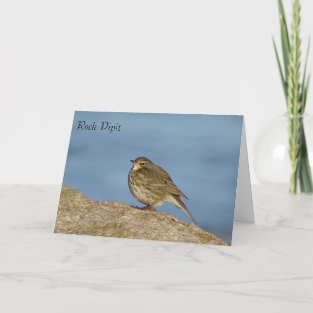 Cartão Wildlife Greeting card (Frente)