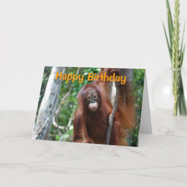 Cartão Wildlife Happy Birthday (Frente)