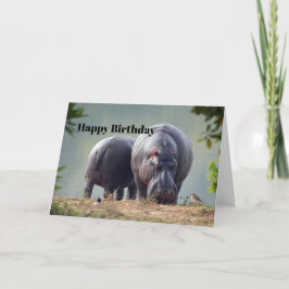 Cartão Wildlife Hippo Photo Birthday