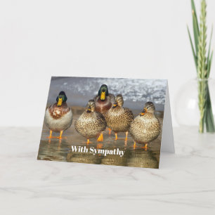 Cartão Wildlife Mallard Ducks Photo Sympathy