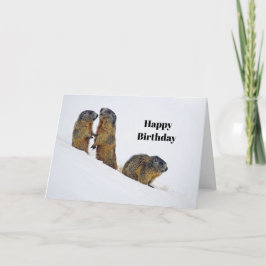 Cartão Wildlife Marmots Snow Photo Birthday