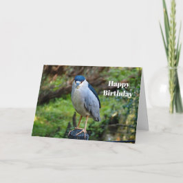 Cartão Wildlife Night Heron Photo Birthday