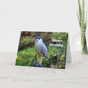 Cartão Wildlife Night Heron Photo Birthday