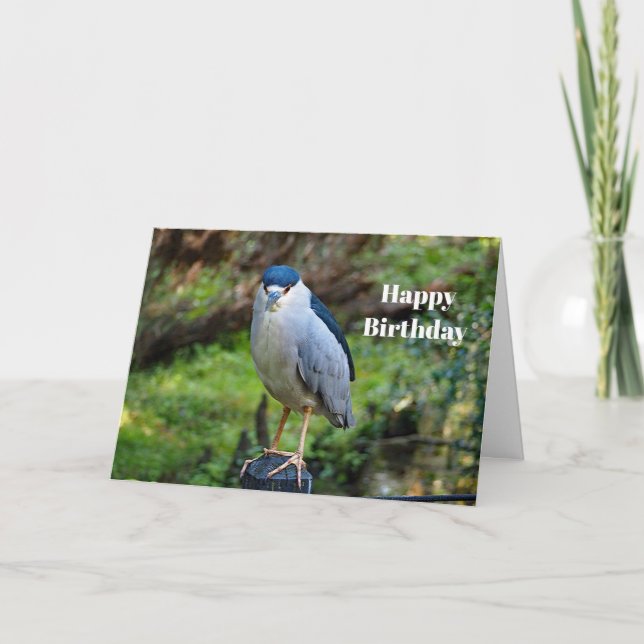 Cartão Wildlife Night Heron Photo Birthday (Frente)