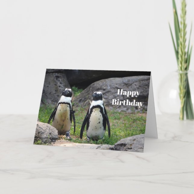 Cartão Wildlife Penguin Pair Photo Birthday (Frente)