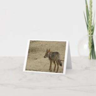 Cartão Wildlife Photography Note Card Design 3