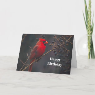 Cartão Wildlife Red Cardinal Birthday