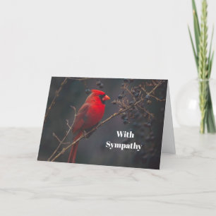 Cartão Wildlife Red Cardinal Photo Sympathy