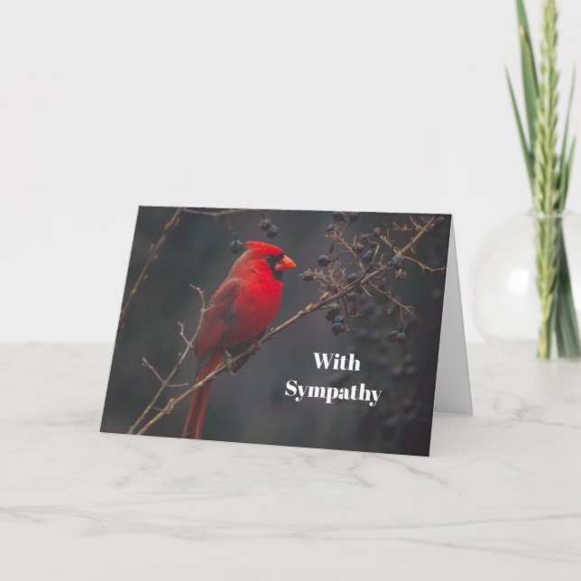 Cartão Wildlife Red Cardinal Photo Sympathy (Frente)