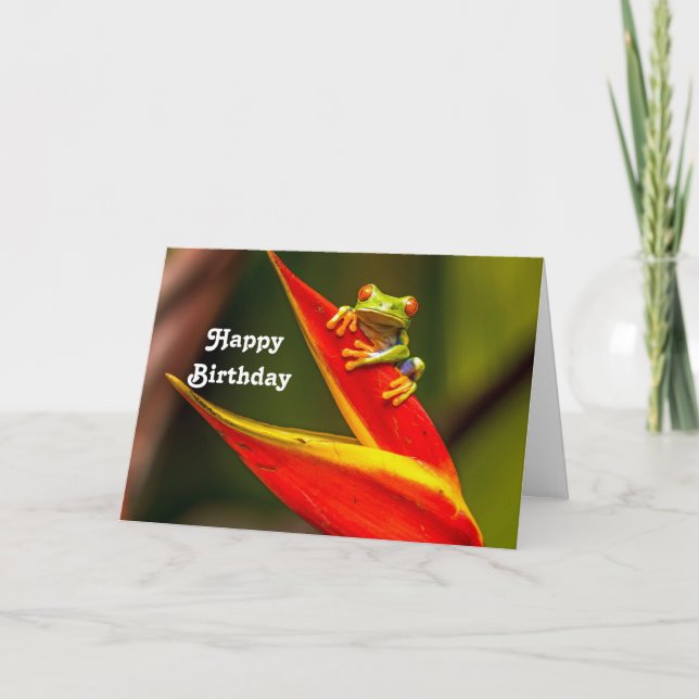 Cartão Wildlife Red Eyed Tree Frog Photo Birthday (Frente)