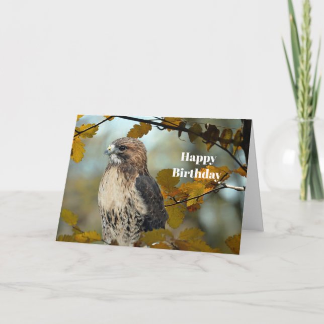 Cartão Wildlife Red Tailed Hawk Autumn Photo Birthday (Frente)