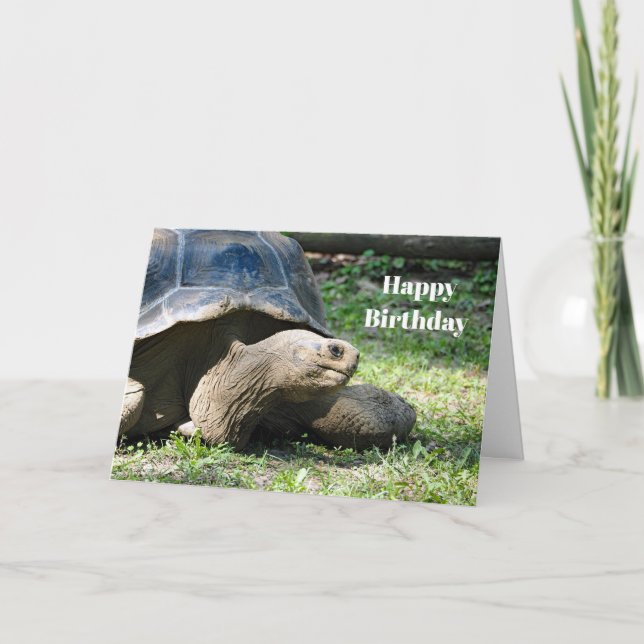 Cartão Wildlife Tortoise Foto Birthday (Frente)