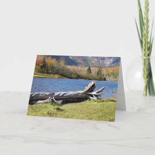 Cartão Willey's Pont, Saco River, North Conway, NH (Frente)