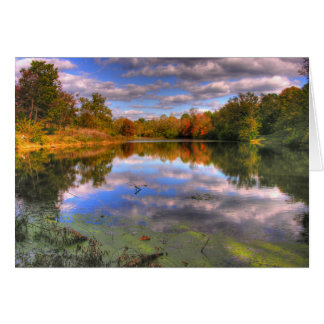 Cartão Willow Pond