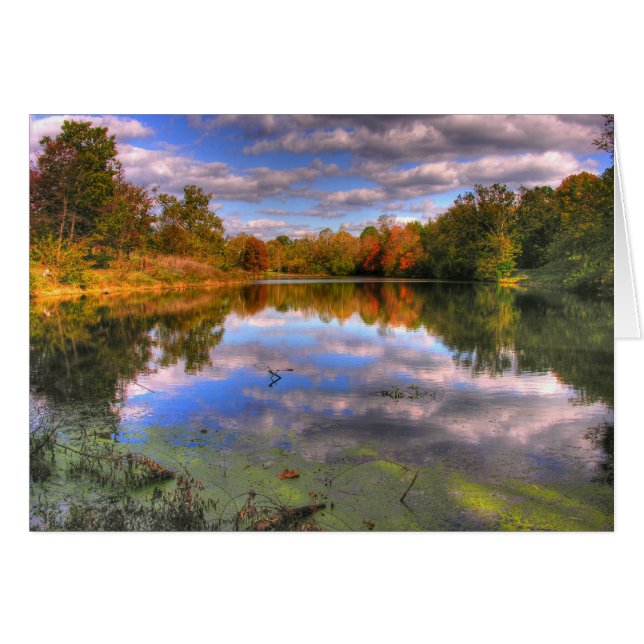 Cartão Willow Pond (Frente Horizontal)