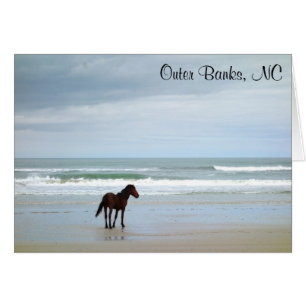 Cartão Wils Horse Outer Banks NC Card