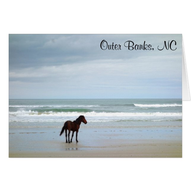Cartão Wils Horse Outer Banks NC Card (Frente Horizontal)