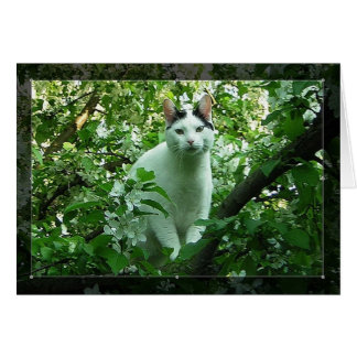 Cartão WiLSoN GReeN