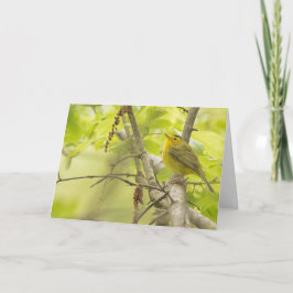 Cartão Wilsons Warbler em Primavera Tree Vazio Note Card