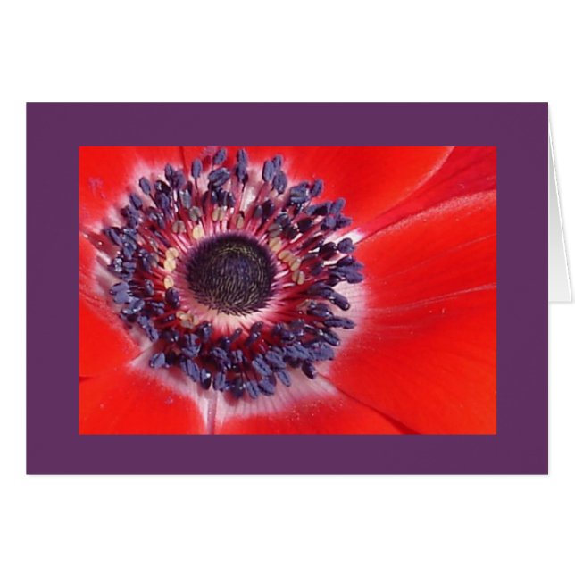 Cartão Windflower (Frente horizontal)