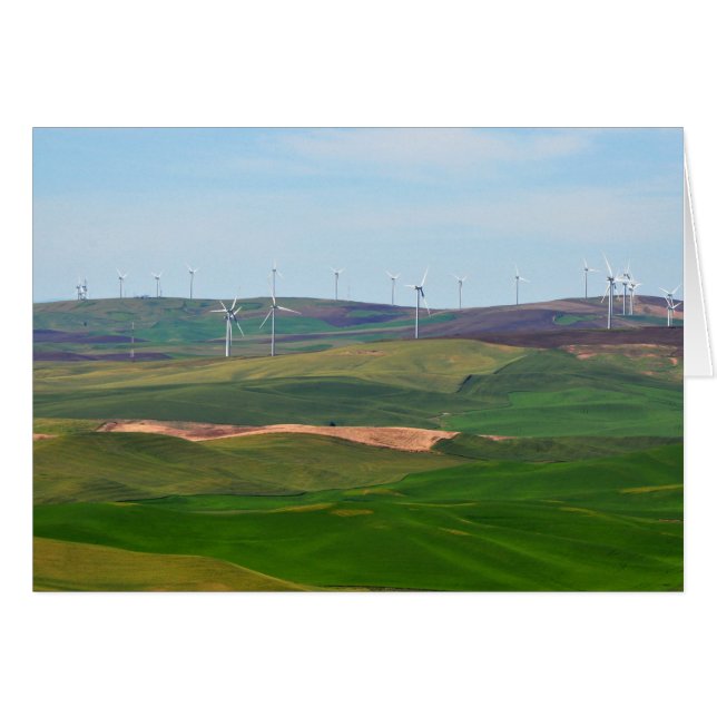 Cartão Windmills on the Palouse Hills from Steptoe Butte (Frente Horizontal)