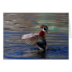 Cartão Wing Flapping Wood Duck