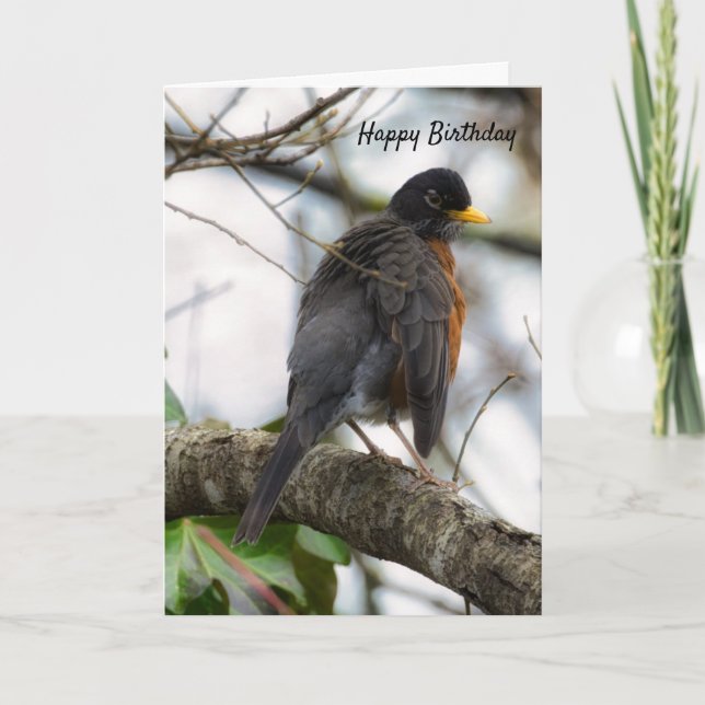 Cartão Wings American Robin Birthday (Frente)