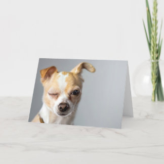 Cartão Winking Chihuahua Greeting Card