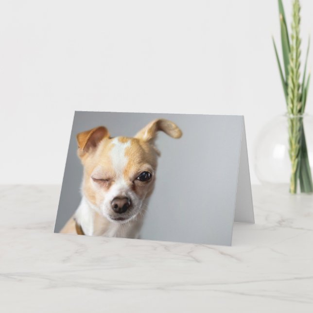 Cartão Winking Chihuahua Greeting Card (Frente)