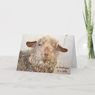 Cartão winking goat for humorous birthday