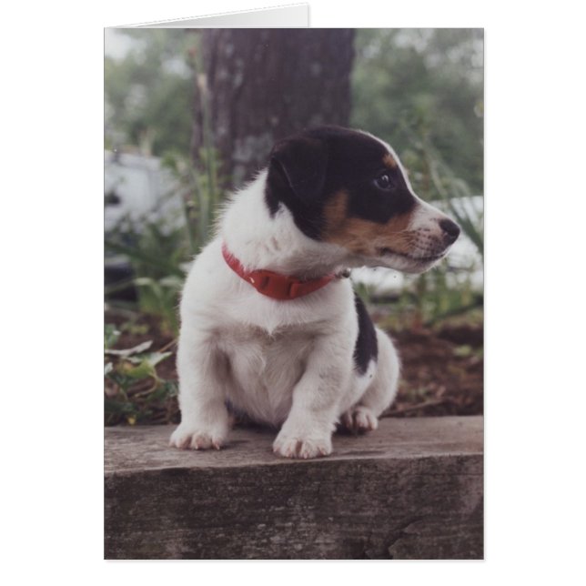 Cartão Winnie (Frente)