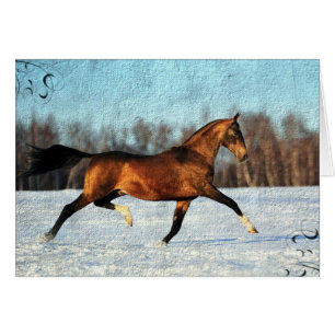 Cartão Winter Akhal-teke