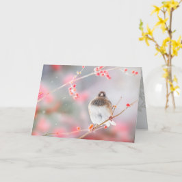 Cartão "Winter Berry Junco", 5" x 7" Folheto de saudação