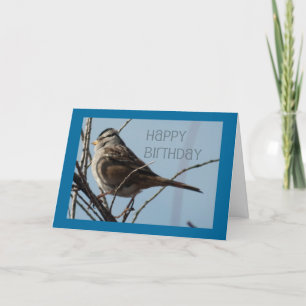 Cartão Winter Bird Happy Birday