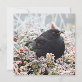 Cartão Winter Blackbird