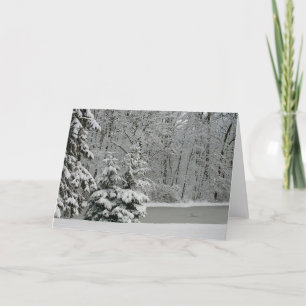 Cartão Winter Evergreens Notecard