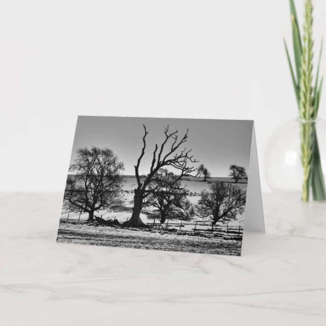 Cartão Winter in Northumberland Greeting Card (Frente)
