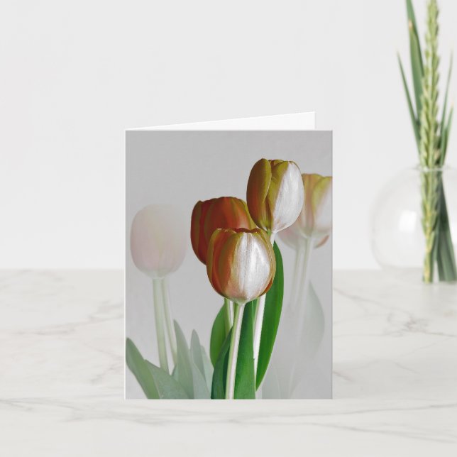 Cartão Winter Light (Frente)