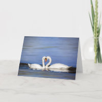 Winter Love Swan Couple Greeting Card