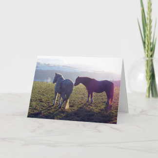 Cartão Winter pasture horse card